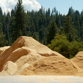 Sawdust in Santa Cruz, 
California 95060